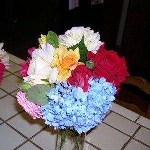 Meet your Posher, Jo